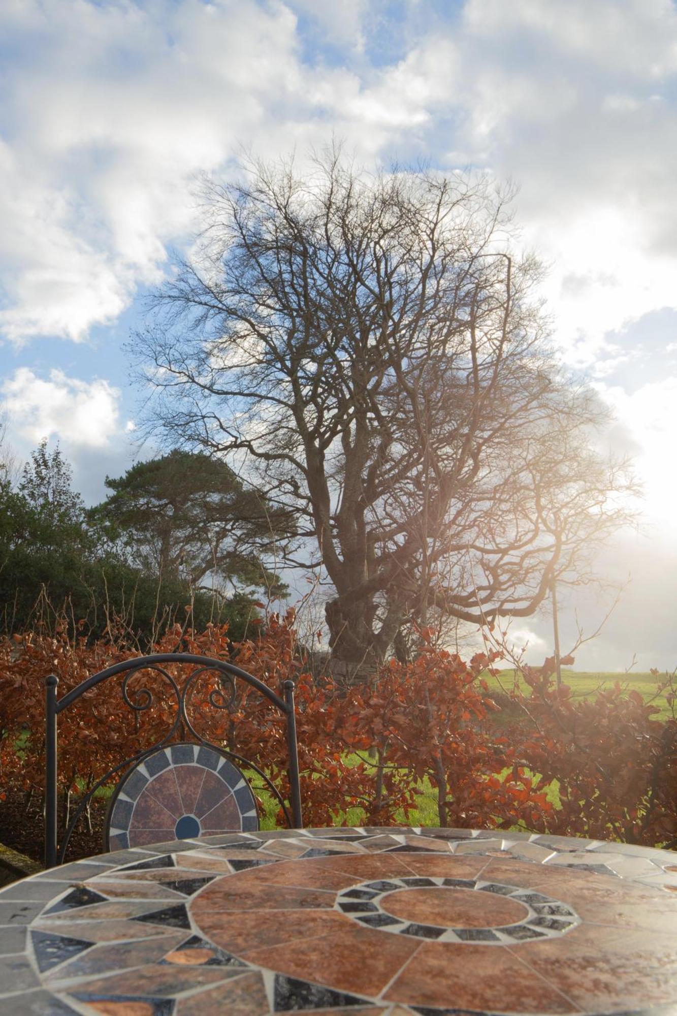 The Stone Cottage Castlebar Extérieur photo
