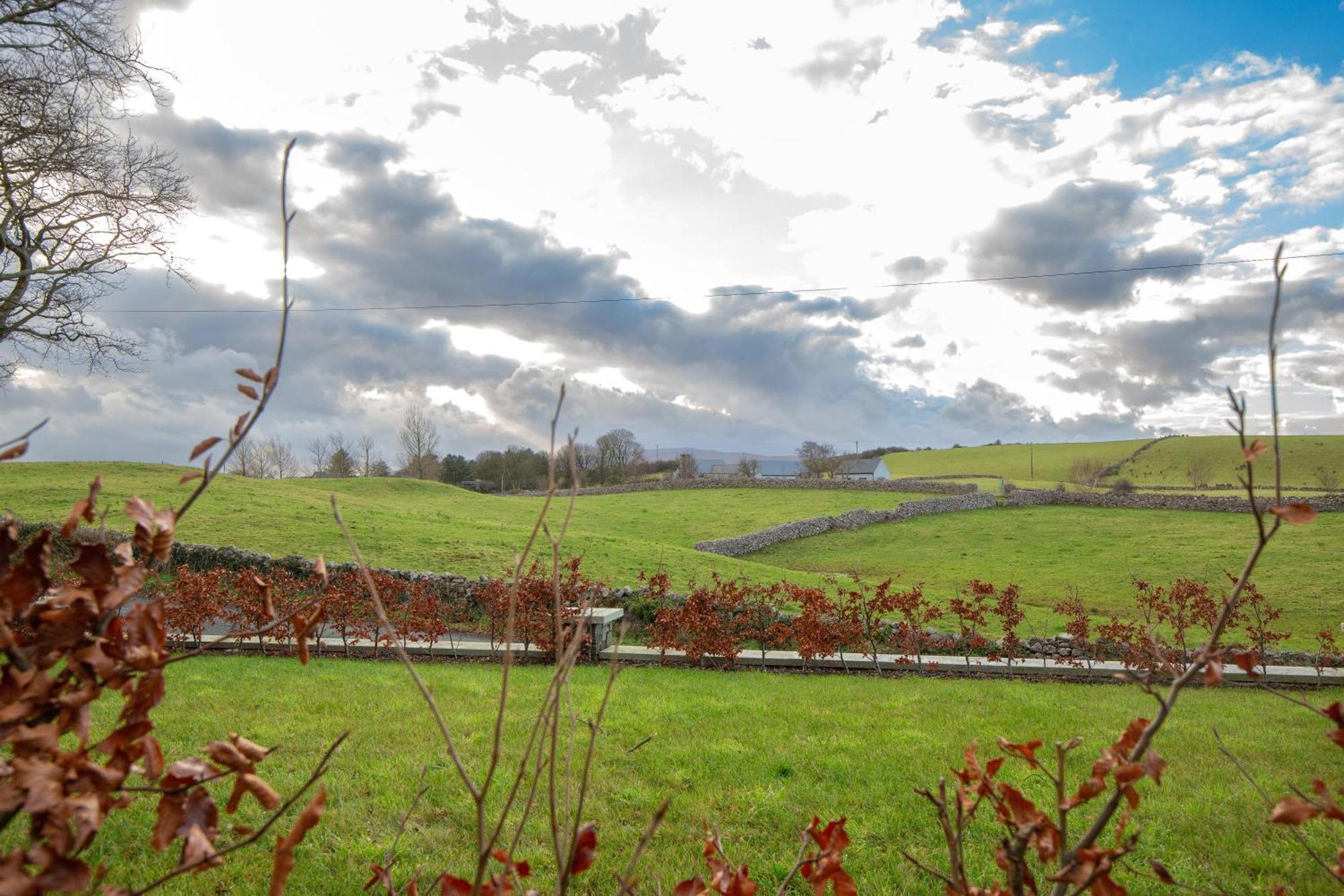 The Stone Cottage Castlebar Extérieur photo